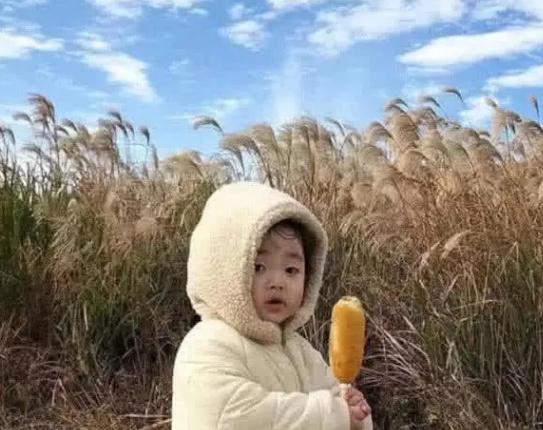 “最不像情侣的情头”爆红，张张都是秀儿，再也不怕上学被发现了