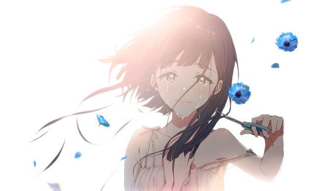 动漫壁纸、头像｜P站精选｜寒冷冬日，你比春天先到一步