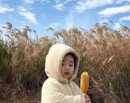 “最不像情侣的情头”爆红，张张都是秀儿，小学生赶紧出来领情头