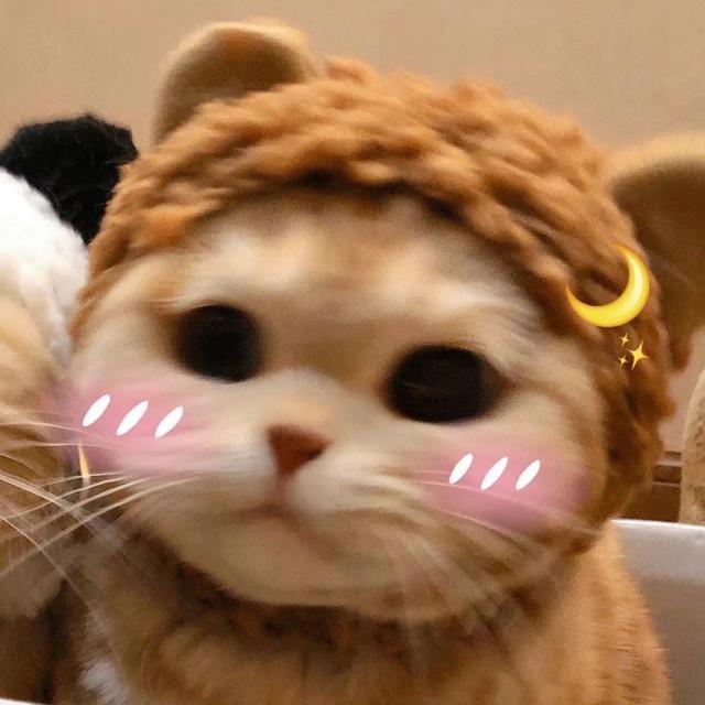 动漫情头：海豚有海风筝有线而你有我