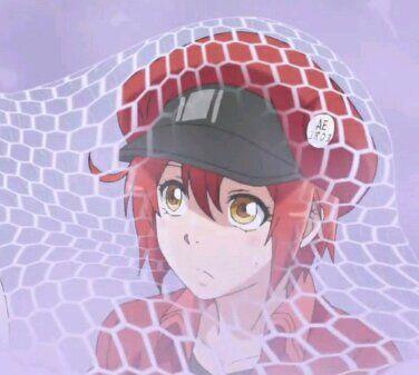 工作细胞：8组超甜情侣头像，第七组超霸气，最后一组萌出血！