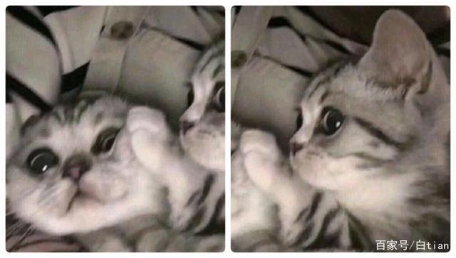 超级多小众好看的情头，一次送给你