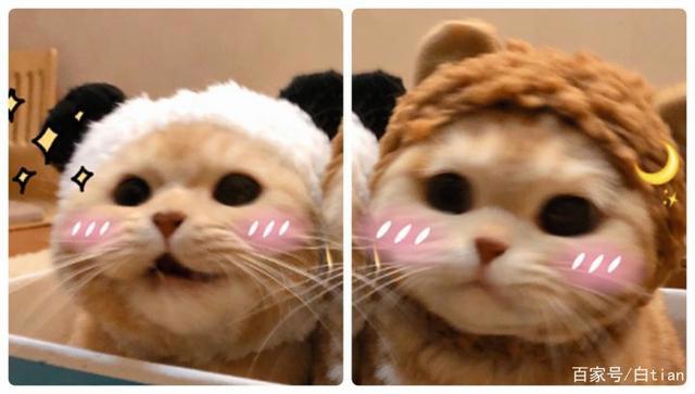 超级多小众好看的情头，一次送给你