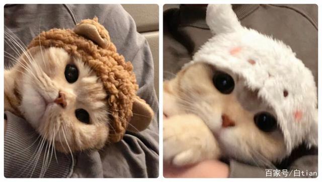 超级多小众好看的情头，一次送给你