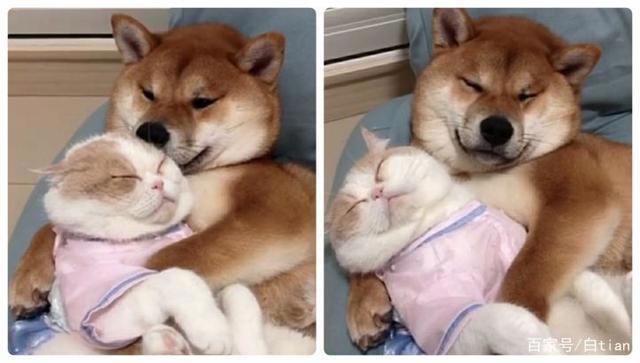 超级多小众好看的情头，一次送给你