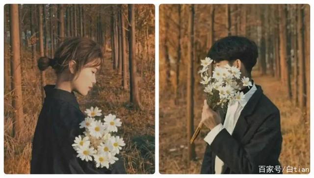 超级多小众好看的情头，一次送给你