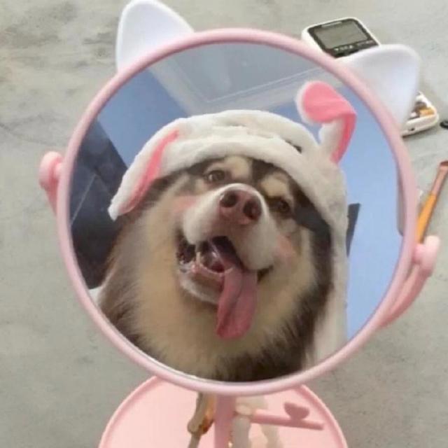 感觉很棒的情侣头像，全在这里~