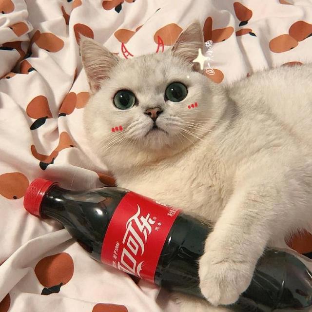 感觉很棒的情侣头像，全在这里~