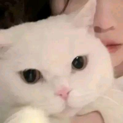 一大批优质情头来了