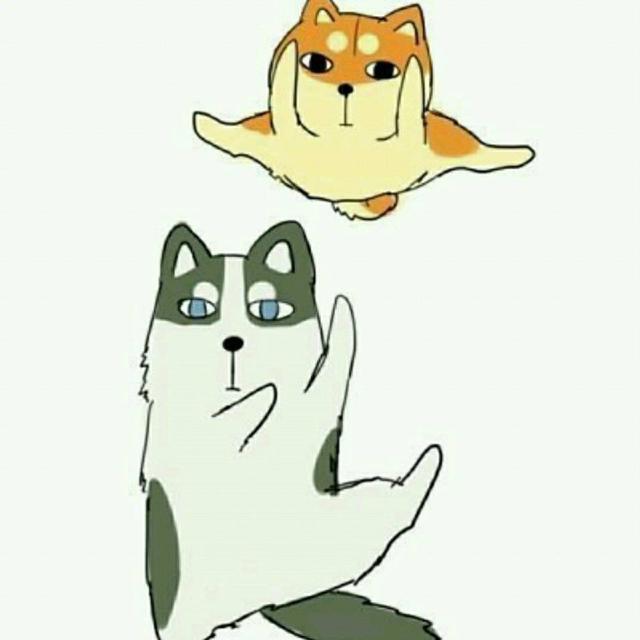 一大波动漫情头即将来袭——第三期