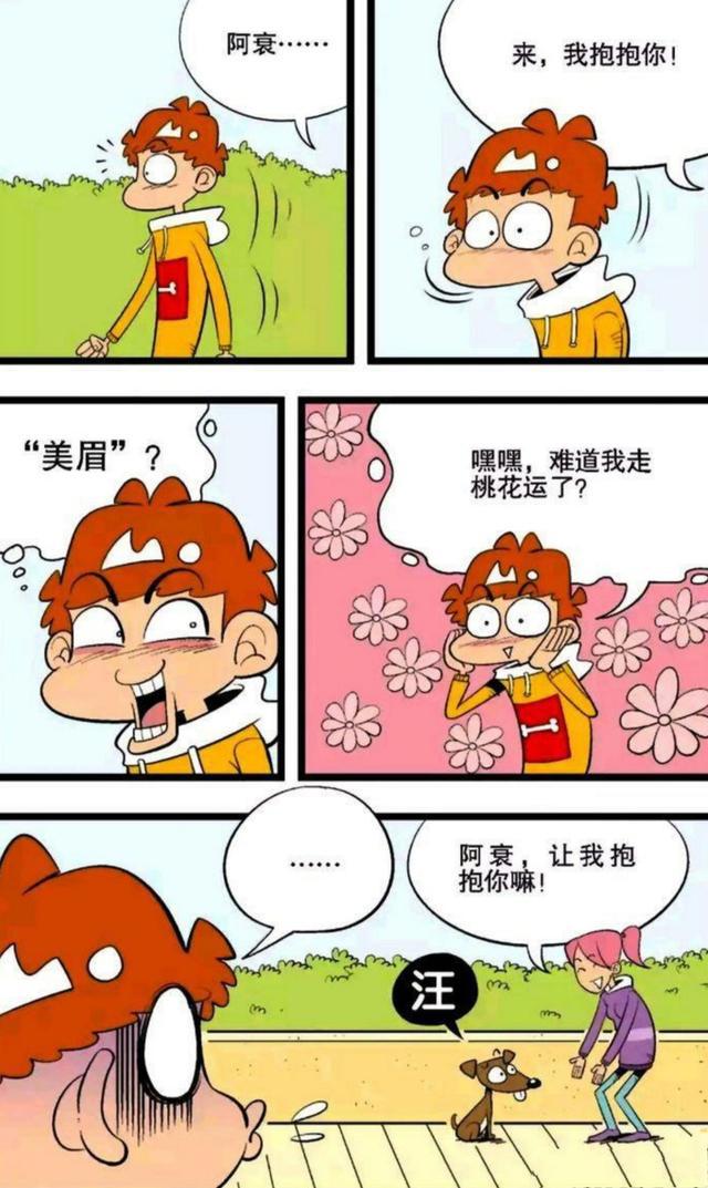 阿衰：名字够“衰”，美好桃花运就这么飞了，狗狗：我要改名！