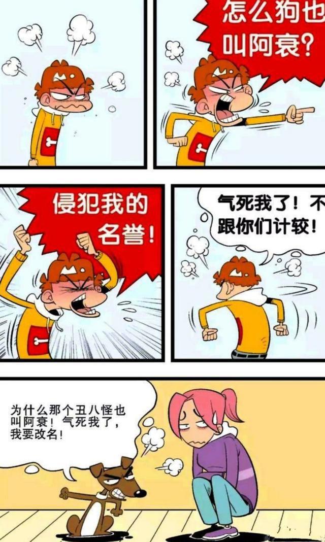 阿衰:名字够“衰”,美好桃花运就这么飞了,狗狗:我要改名!