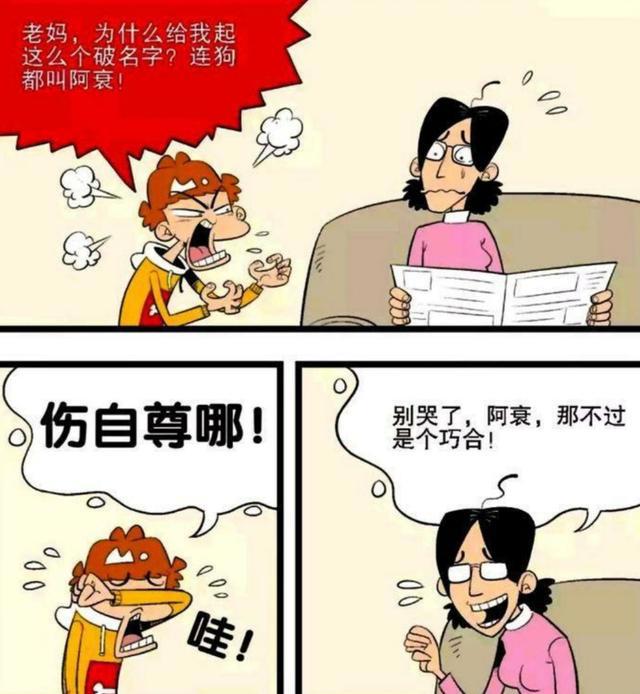 阿衰:名字够“衰”,美好桃花运就这么飞了,狗狗:我要改名!
