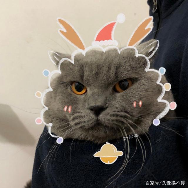 42张圣诞节动漫情头，花里胡哨，单身狗就别进来了