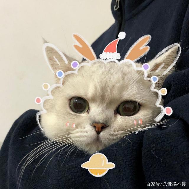 42张圣诞节动漫情头，花里胡哨，单身狗就别进来了