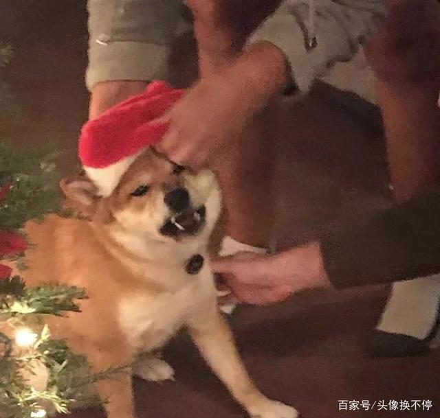 42张圣诞节动漫情头，花里胡哨，单身狗就别进来了