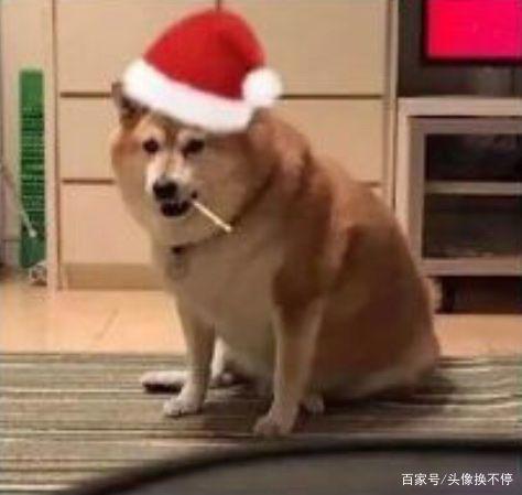 42张圣诞节动漫情头，花里胡哨，单身狗就别进来了