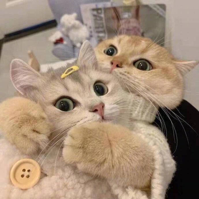 进来收藏！超级好看超级甜的情侣头像精选合集~