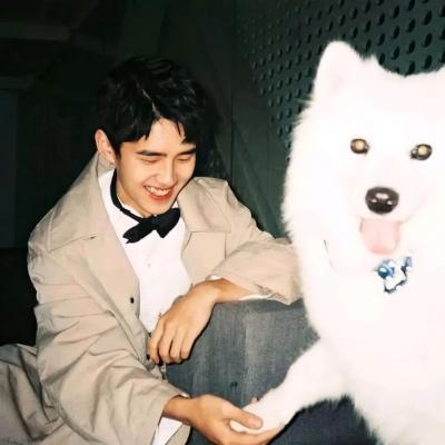 动漫情头之对象不是人系列