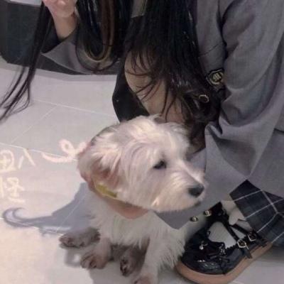 动漫情头之对象不是人系列