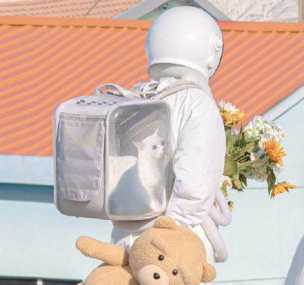 有没有好看又可爱的情头？