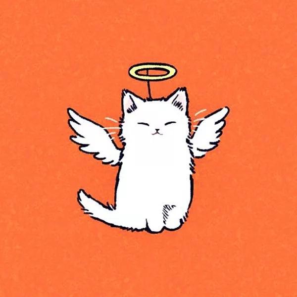 动漫情头，清内存喽