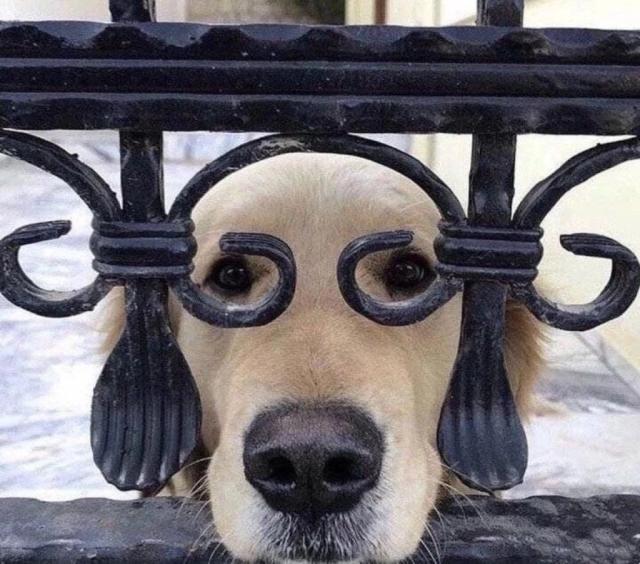 一大波动漫情头即将来袭——第一期