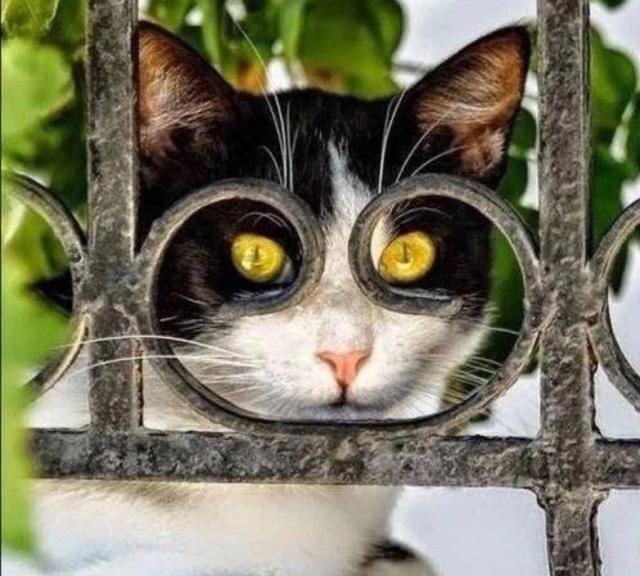 一大波动漫情头即将来袭——第一期