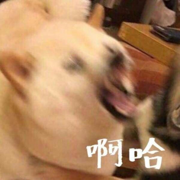 一大波动漫情头即将来袭——第一期