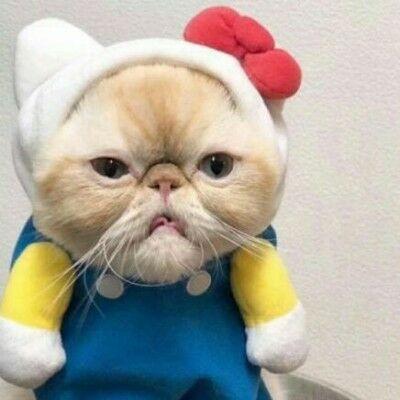 一大波动漫情头即将来袭——第一期