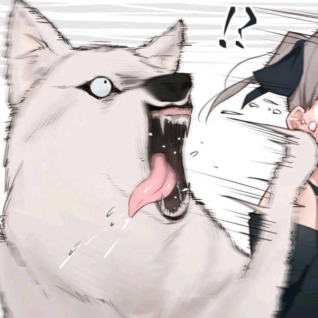 容易找到对象的动漫情头