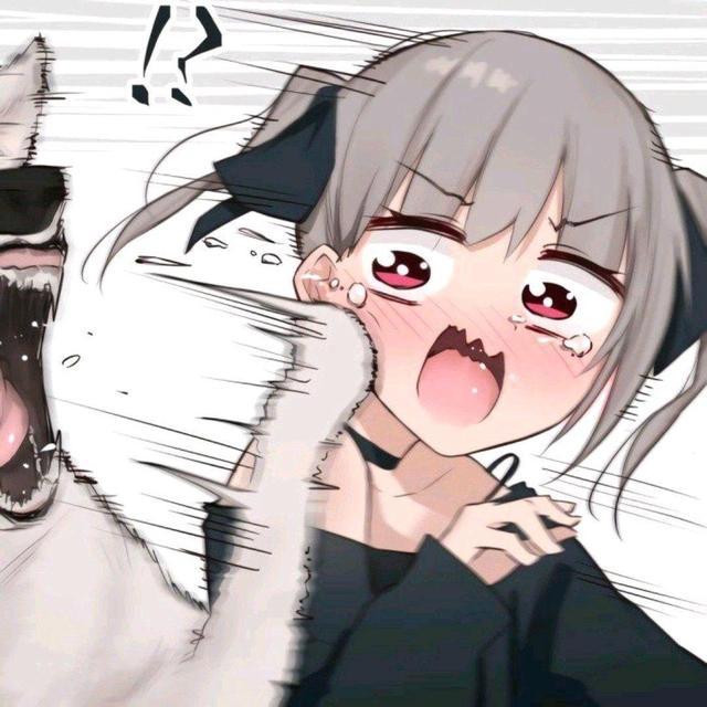 容易找到对象的动漫情头