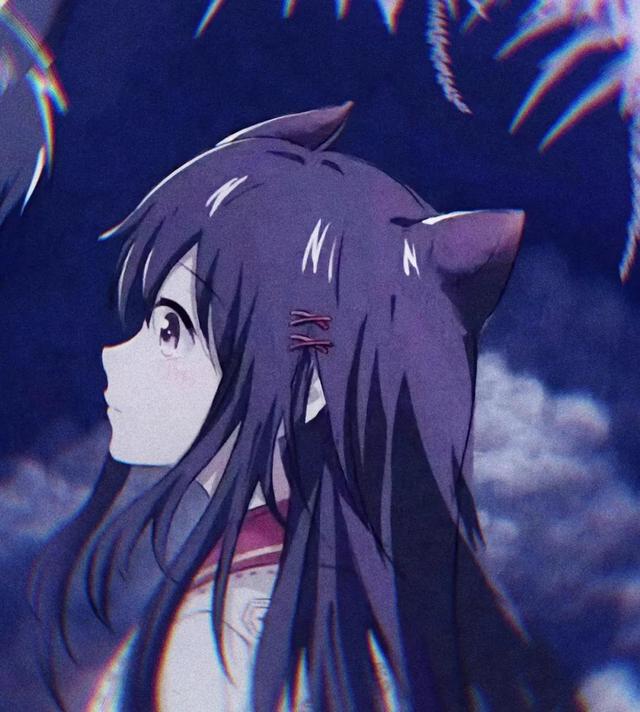 动漫情头见过花开的人，便会懂得风的温柔