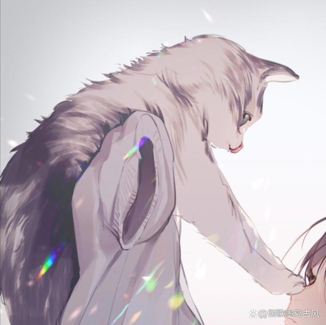 动漫情头°月亮不会奔向你，但我会，不远万里