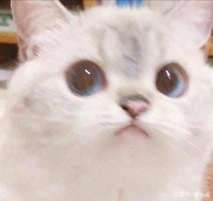 可爱动漫情头，你值得拥有