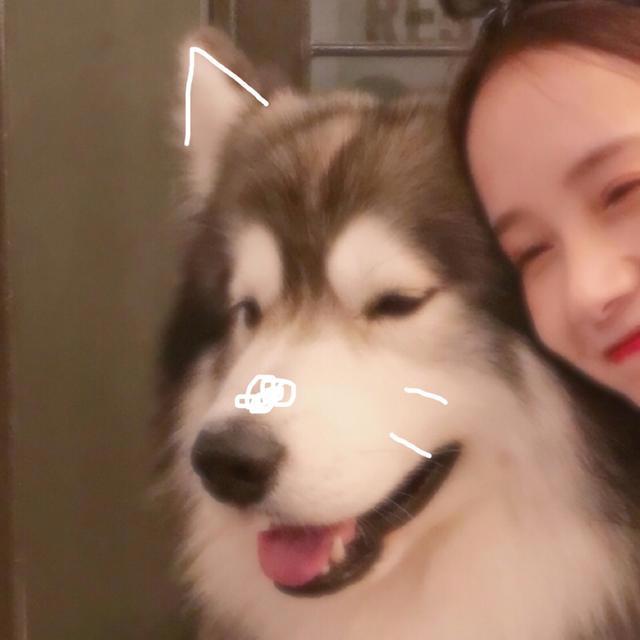 「动漫情头」几组可爱有趣的情头，幸福狗粮来得这么快！