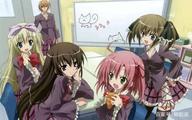 后宫动漫入坑指南