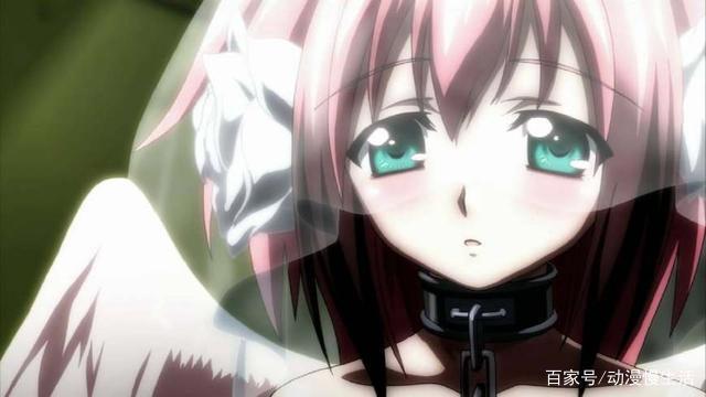 B站上人气最高的5部后宫漫,全看过的才能算是大佬!