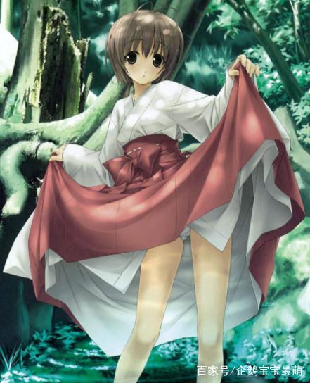 5部经典后宫动漫，你看过了几部呢？赌一包辣条，你只看过两部！