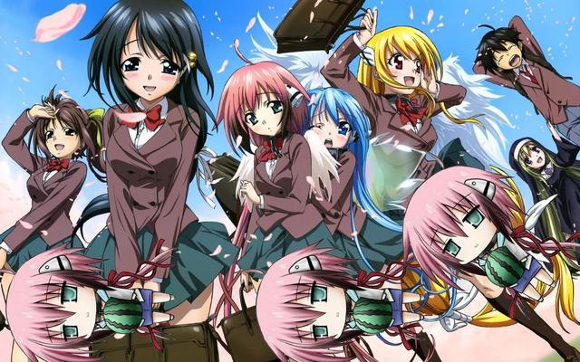 强烈推荐几部后宫题材的动漫，每一部都很好看，萌新入坑之作！