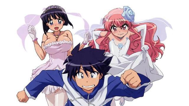 盘点后宫成群的动漫，男主的老婆能排成一长队