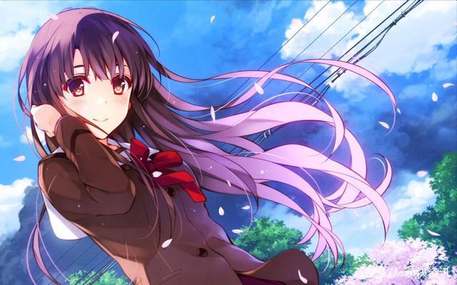 「番剧推荐」后宫动漫推荐，你看过几部呀？