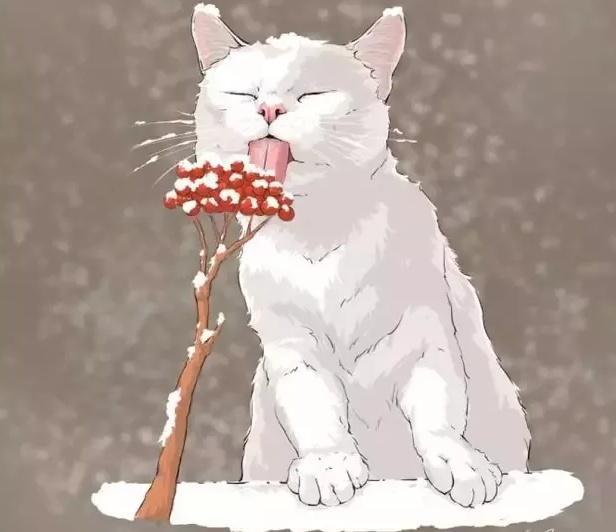 “傻姑娘，看一眼你的微信头像，就知道你是什么性格”