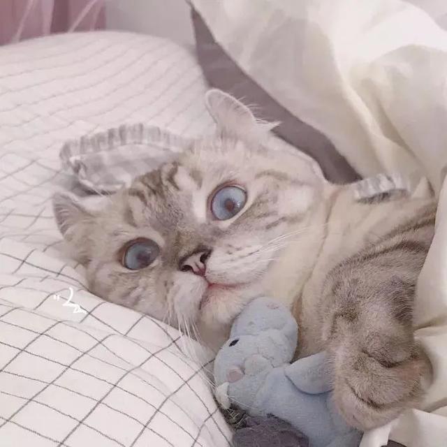 头像：闺蜜头像，动漫版~超级好看可爱