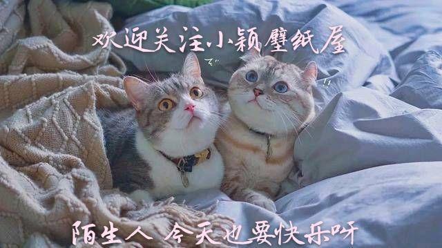 神仙·动漫女生头像丨就算是万丈深渊，走下去，也是前程万里