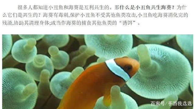 第五人格调香师的cp官方设定原来她！脑洞大开的恶趣味又来了！