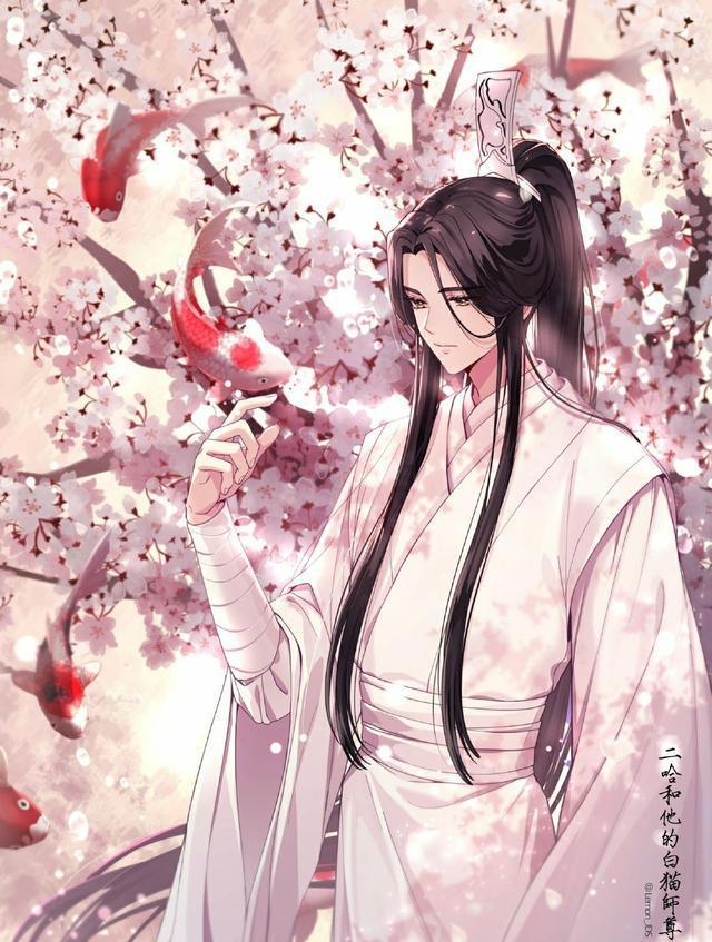 《二哈和他的白猫师尊》论楚晚宁到底有多好