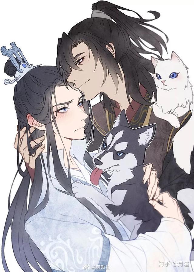 《二哈和他的白猫师尊》：我不好的，从来没有人喜欢过我