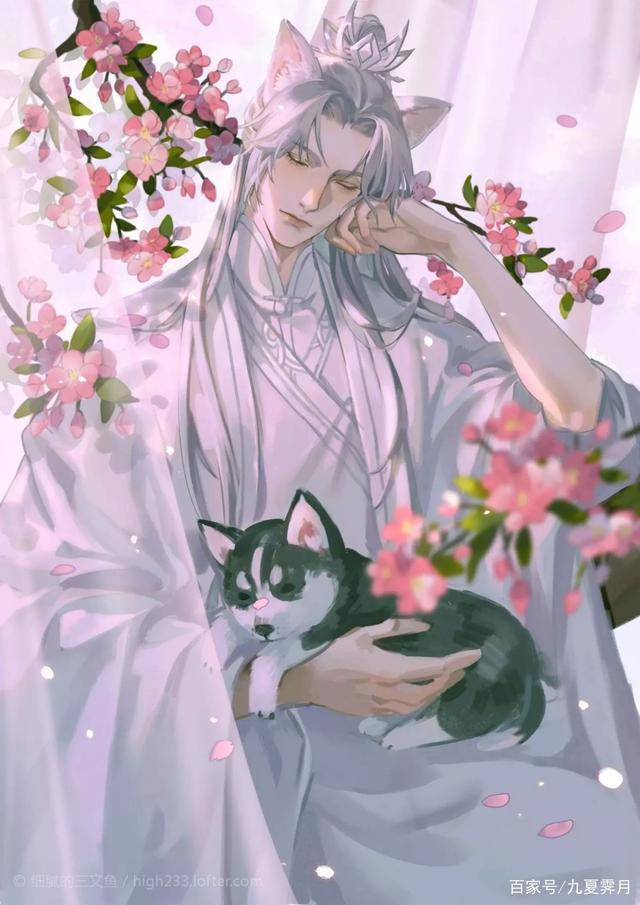 《二哈和他的白猫师尊》：楚晚宁和墨燃对师昧的情义终究是错付了