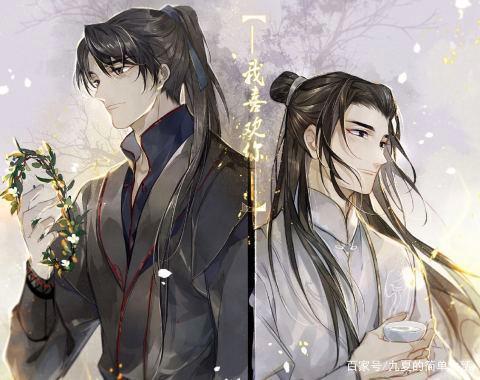 《二哈和他的白猫师尊》：历经两世波折终于换来圆满结局